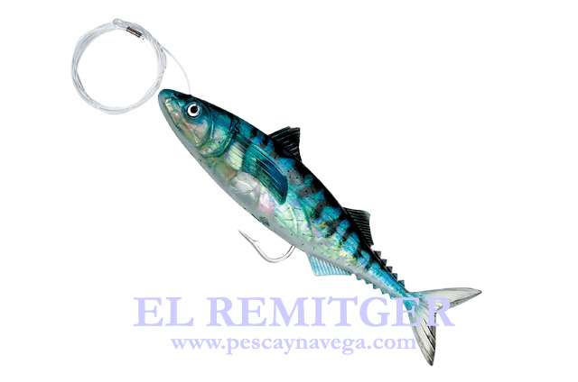 LIVE MACKEREL 07